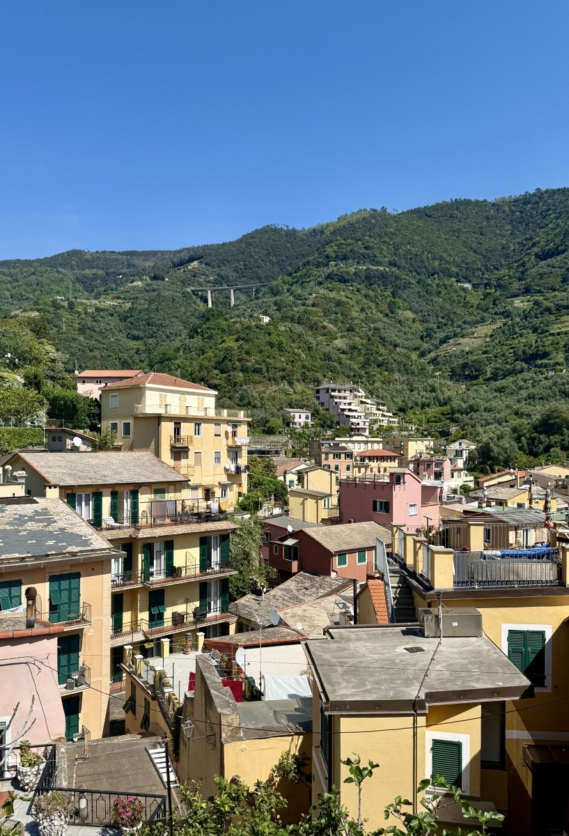 Colourful Manarola village buildings with green terraced hillside backdrop, viewed from the coastal walking path, Cinque Terre